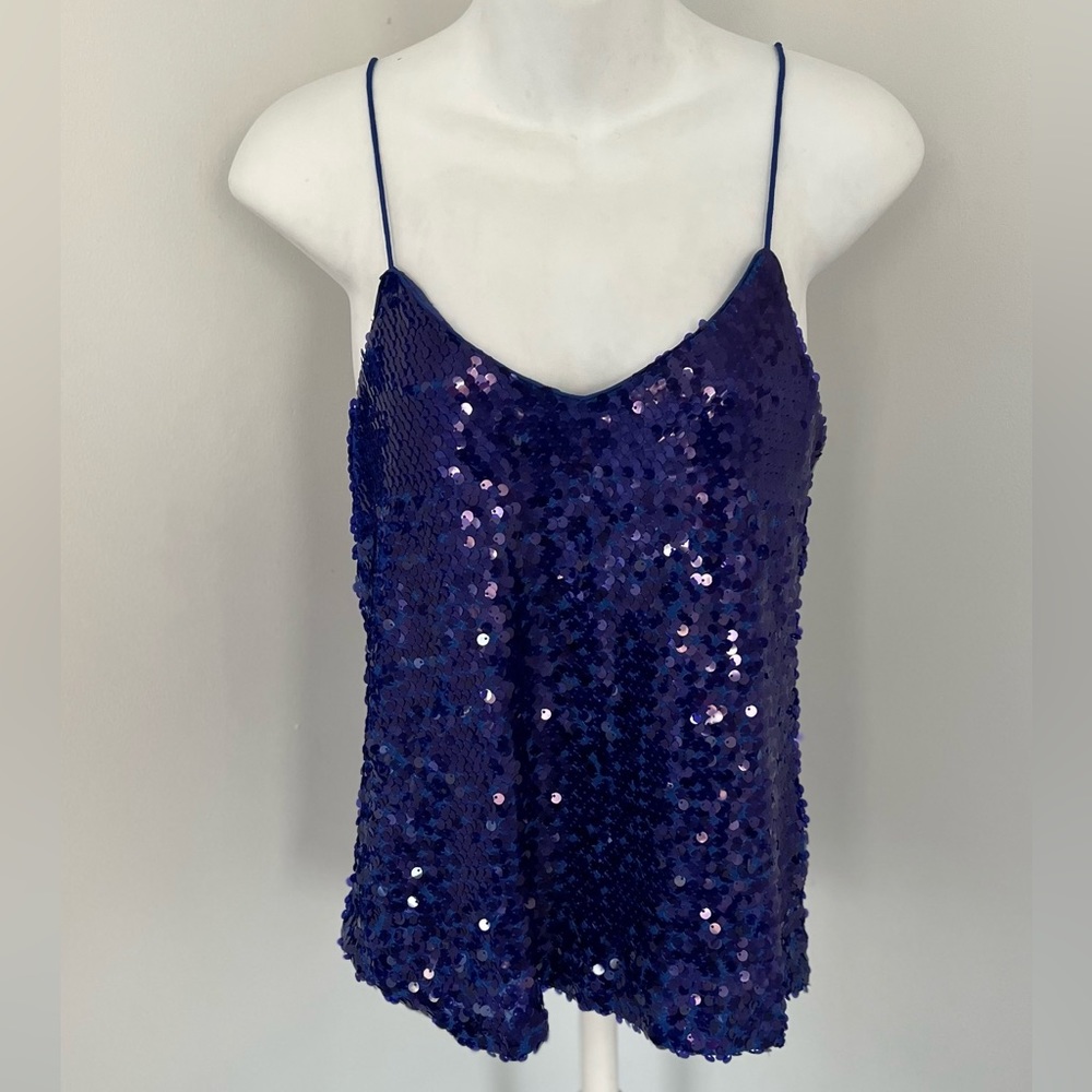Wayf Blue Sequined Camisole Tank